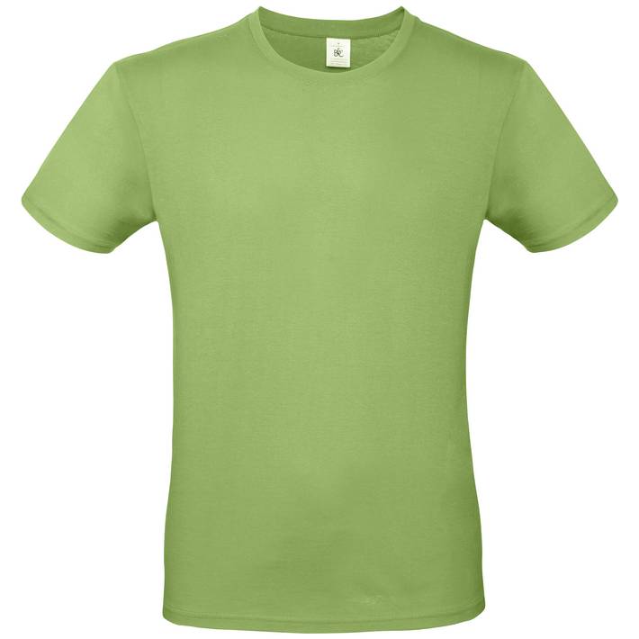 01.001T B&C - #E150 pistachio .510