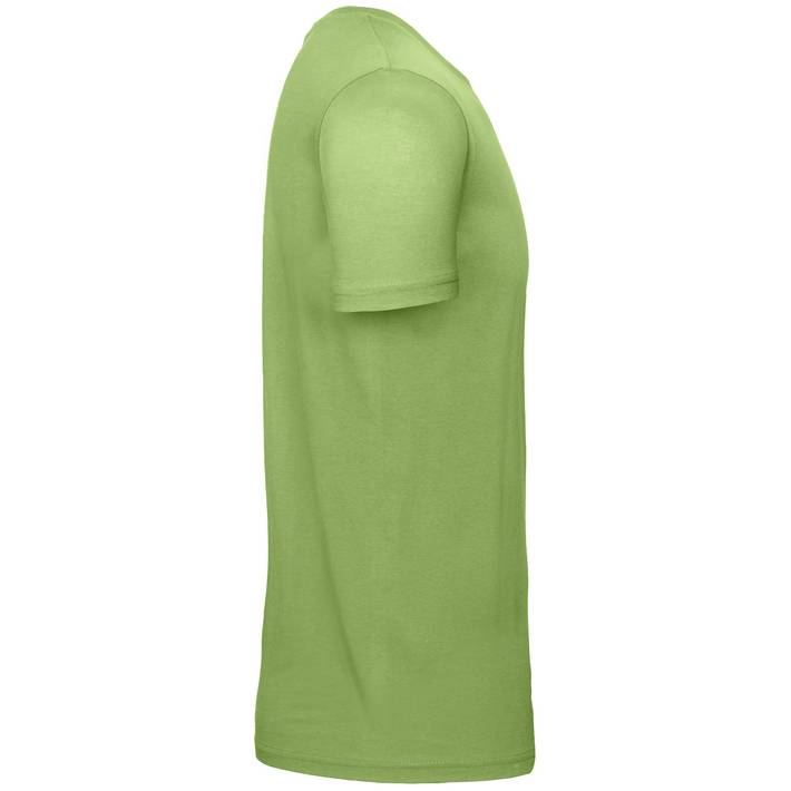 01.001T B&C - #E150 pistachio .510