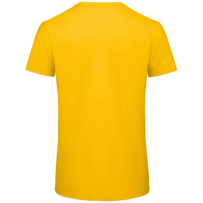 01.TM42 B&C - Inspire T /men_° gold .210