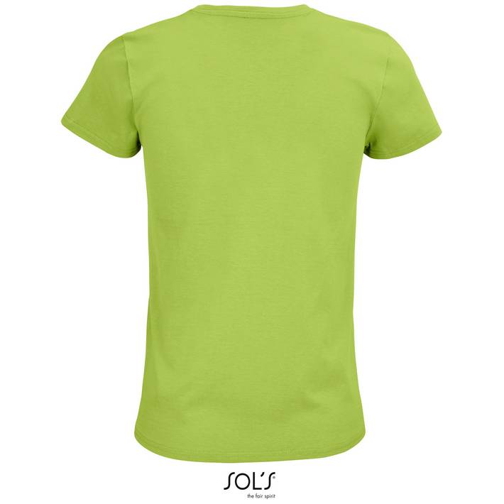 25.3579 SOL'S - Pioneer Women apple green .093