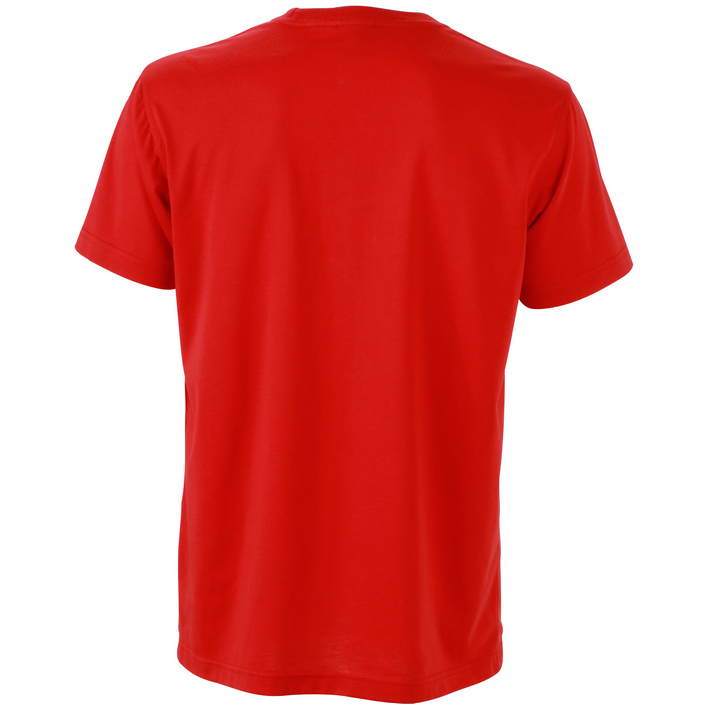 02.0838 James & Nicholson - JN 838 red .004