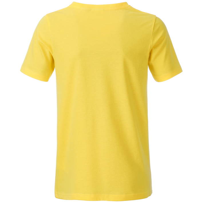 02.808B James & Nicholson - JN 8008B yellow .200