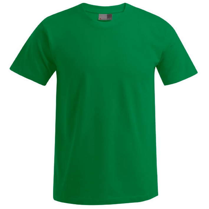 40.3099 Promodoro - 3099 (XS-6XL) kelly green .520