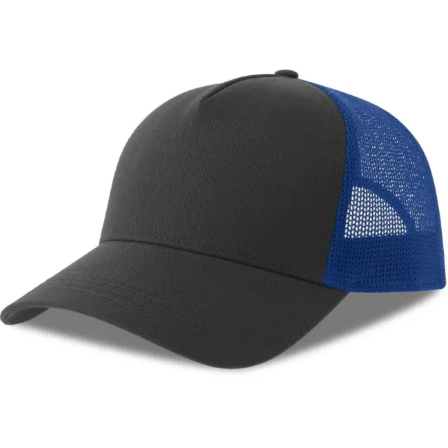 dark grey/royal